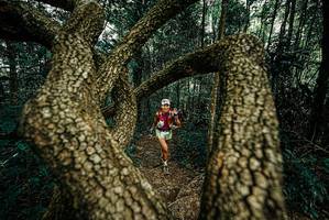 BIB: 
                            <button type="button" onclick="openModal(25668569)" class="btn btn-primary btn-sm float-right btn-popup" data-toggle="modal" data-target=".modal-high-quality">
                        <i class="fas fa-shopping-cart"></i> Add to Cart
                    </button>
                                            <button type="button" onclick="isThisMe(25668569, true)" class="btn btn-success btn-sm float-right btn-popup btn-isme hidden" data-toggle="tooltip" data-placement="bottom" title="นี่คือรูปของคุณใช่ไหม คลิกที่นี่เพื่อเอาเข้าอัลบั้ม">
                        <i class="fas fa-plus"></i> Add to album
                    </button>
                    <button type="button" onclick="isThisMe(25668569, false)" class="btn btn-warning btn-sm float-right btn-popup btn-isnotme hidden">
                        <i class="fas fa-ban"></i> Remove from album
                    </button>